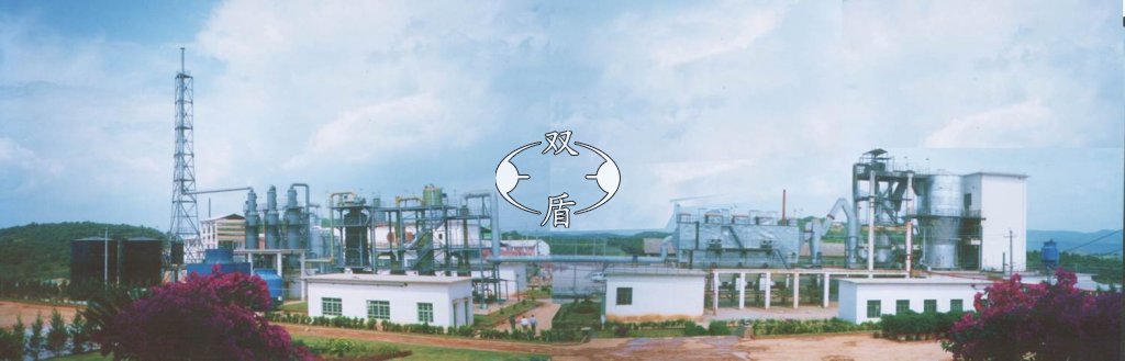 云南祥云飞龙集团公司锌冶炼厂2万吨年硫酸总承包工程 1999年投产